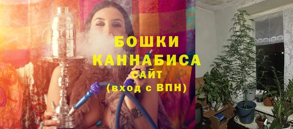 ГАЛЛЮЦИНОГЕННЫЕ ГРИБЫ Кодинск